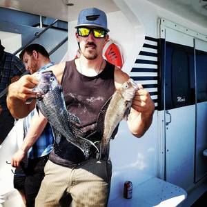 Meet your Posher, Josh